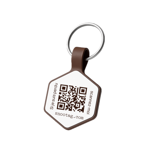 Snootag - Laissez-Moi Jouer